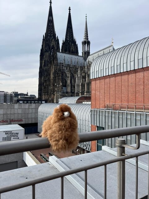 Day tour Aachen & Cologne from Brussels - Return Journey and Reflection