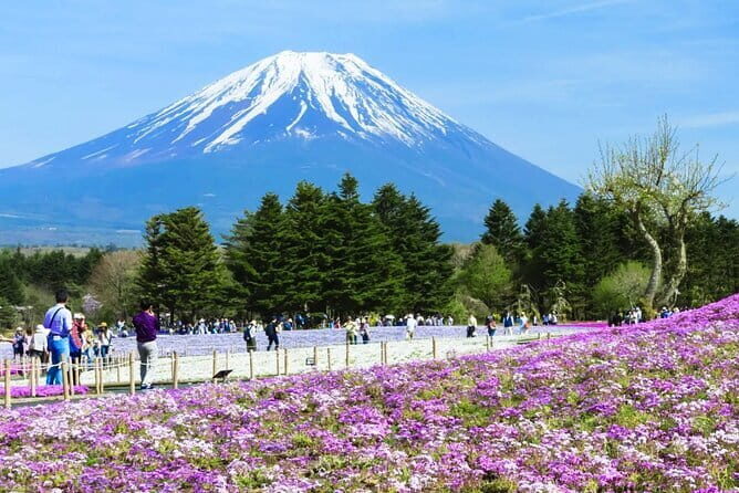 Day Tour at Mt. Fuji, Kawaguchi Lake and Oshino Hakkai in Tokyo - Exploring the Itinerary in Detail