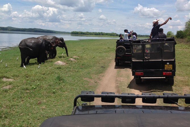 Day Tour from kandy to Sigiriya, Dambulla & National Park safari. - Exploring Sigiriya: The Lion Rock Fortress