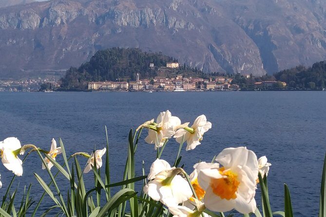 Day tour from Milan: Lake Como & Bellagio with Cruise in a Small-group tour - Who Would Love This Tour?