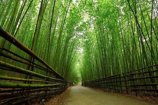 Day Tour from Osaka to Kyoto Let's enjoy Kyoto's food and Scenery - FAQs