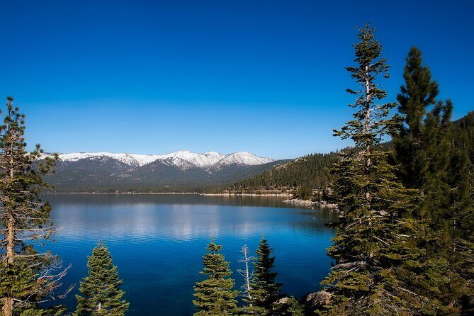 Day Tour from San Francisco to Lake Tahoe - Who Will Love This Tour?