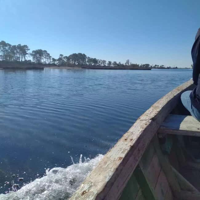 Day Tour From Tirana: Discover Berat and Divjaka - The Sum Up