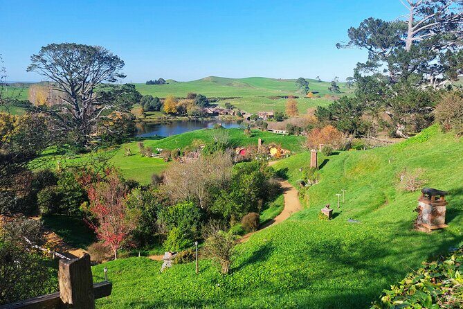 Day Tour Hobbiton + Rotorua from Auckland in Luxury Minibus - Who Would Love This Tour?