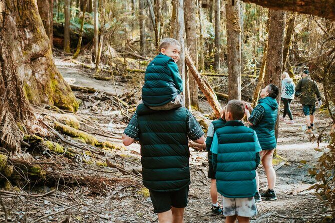 Day Tour in Mt. Field, Mt. Wellington, Bonorong Wildlife Sanctuary and Richmond - The Itinerary in Detail: What to Expect