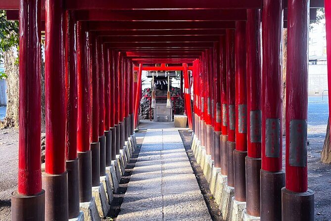 Day Tour in Shinjuku and Kagurazaka Tokyo Hotspot and Hidden Gems - Who Will Love This Tour?