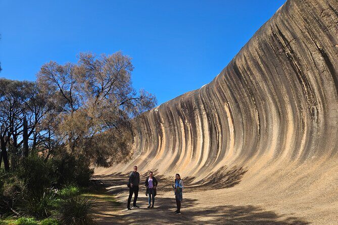 Day Tour in Wave Rock and Mulka's Cave - Introduction