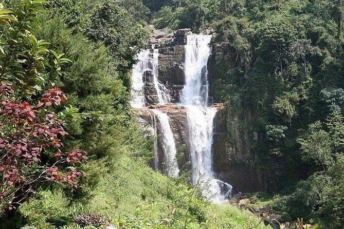 Day Tour of Nuwara Eliya - What’s Included and What to Expect