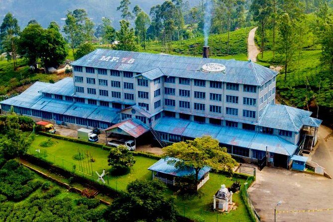 Day Tour of Nuwara Eliya - The Practicalities: Timing, Cost, and Suitability