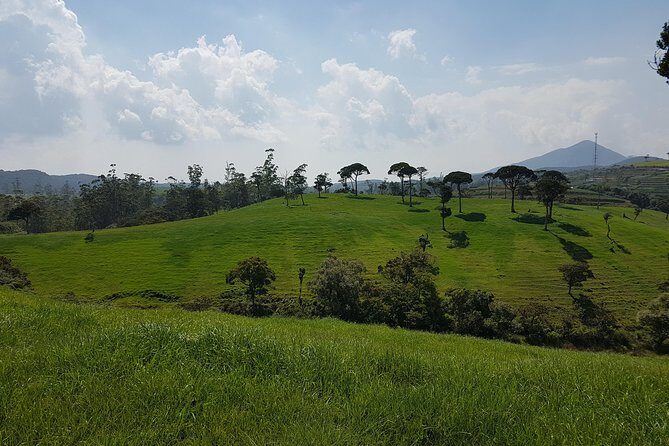 Day Tour of Nuwara Eliya - FAQs