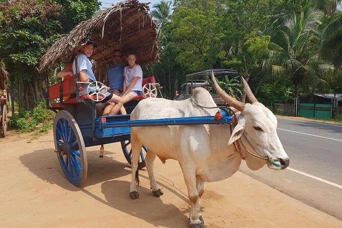 Day Tour of Sigiriya - The Detailed Experience