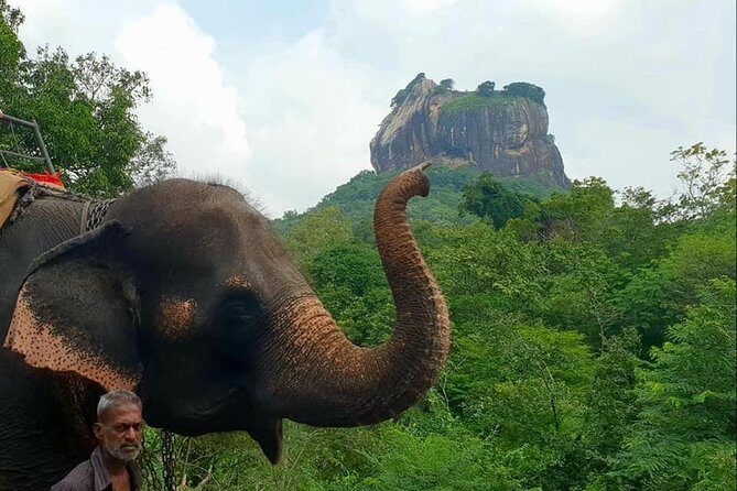 Day Tour of Sigiriya - Final Thoughts