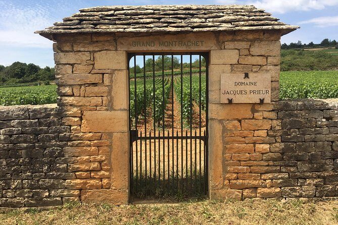 Day tour of the road of the Grands Crus vineyards of Burgundy. - A detailed look at the Burgundy vineyard tour