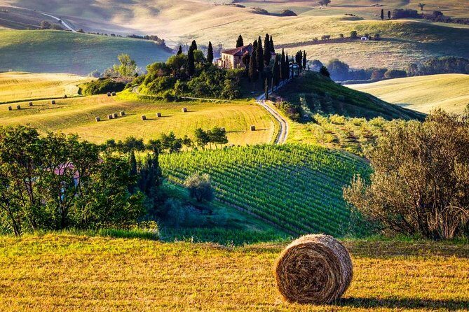 Day Tour of Tuscany from Rome  10 Hours (private cab) - The Sum Up: Who Will Love This Tour?