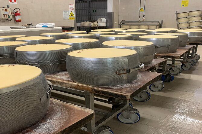 Day Tour Parmigiano, Ferrari Museum, Balsamic, Lambrusco, Lunch with Transfer - Practical Information & Considerations