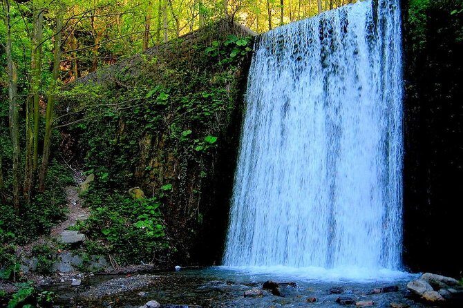 Day Tour Sapanca, Masukiye Tour from Istanbul - Authentic Experiences and Practical Details