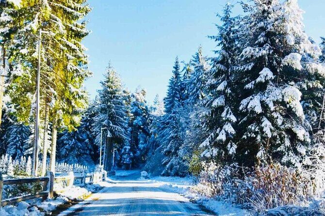 Day Tour: Ski Borovets & Relax in Thermal Pools and Sauna - An In-Depth Look at the Tour Experience