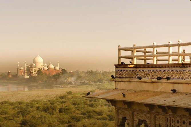 Day Tour Taj Mahal and Agra Tour From Delhi By Car 11 Hrs Only - Why Choose This Agra Day Tour?