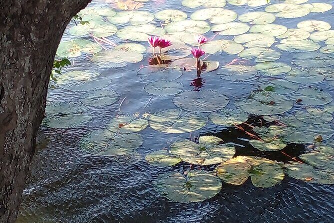 Day Tour to Anawilundawa Wetland Sanctuary - Who Would Enjoy This Tour Most?