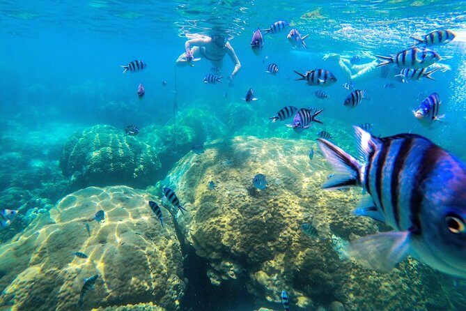 Day Tour to Angthong Marine Park by Insea Speedboat from Koh Samui - Final Thoughts