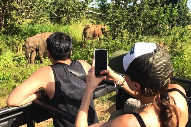 Day Tour to Dambulla, Sigiriya and Safari from Kandy (Group Tour) - What Past Travelers Say