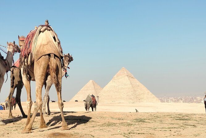 Day Tour To Giza Pyramids, Memphis City, Dahshur And Sakkara - Final Thoughts