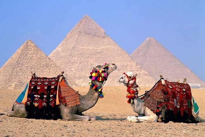 Day Tour to Giza Pyramids, The National Museum Of Egyptian Civilization & Bazzar - Key Points