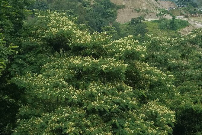Day Tour to Kunchepwakal Village Culture & Scenic Landscapes - What Sets This Tour Apart?
