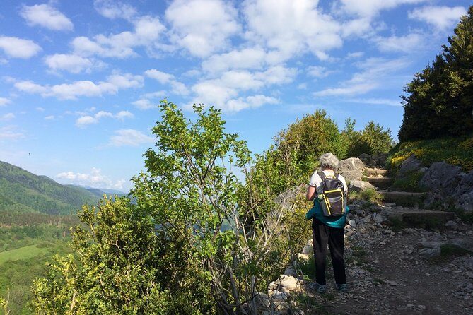 Day Tour to Mirepoix, Montségur, Camon. Private tour from Carcassonne - FAQ