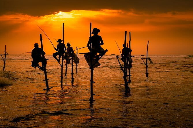 Day Tour to Negombo from Kandy by Lux Tours Lanka - The Sum Up: Is This Tour Right for You?