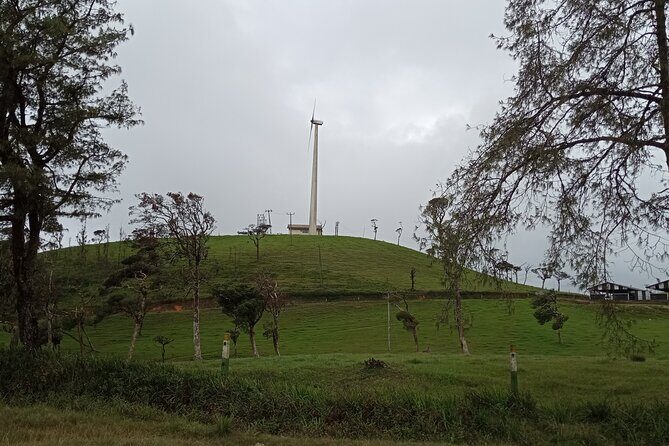 Day tour to Nuwaraeliya from Kandy - An In-Depth Look at the Tour Itinerary