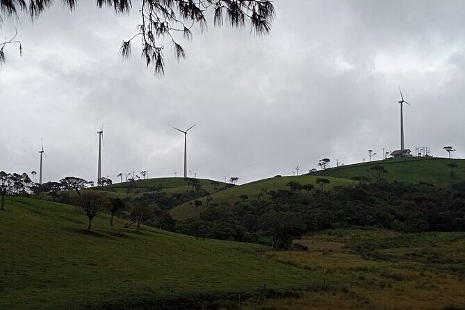 Day tour to Nuwaraeliya from Kandy - What’s Included and What to Expect