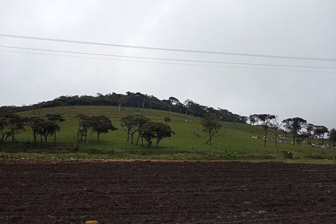 Day tour to Nuwaraeliya from Kandy - The Sum Up
