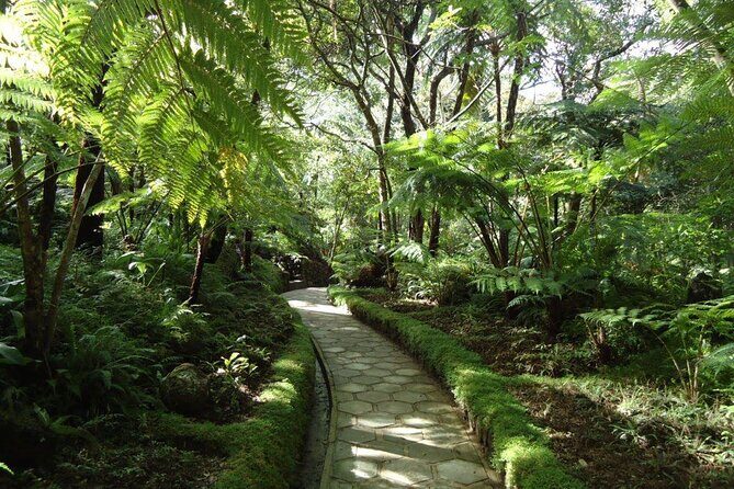 Day tour to Nuwaraeliya from Kandy - FAQs