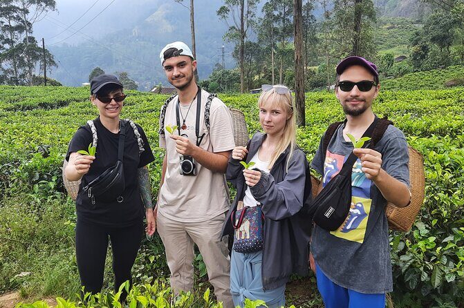 Day tour to Nuwareeliya (Little England) from Kandy - The Itinerary in Detail: What to Expect