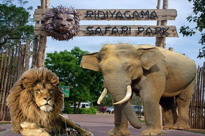 Day Tour To Ridiyagama Safari Park From Colombo - An In-Depth Look at the Ridiyagama Safari Park Day Tour