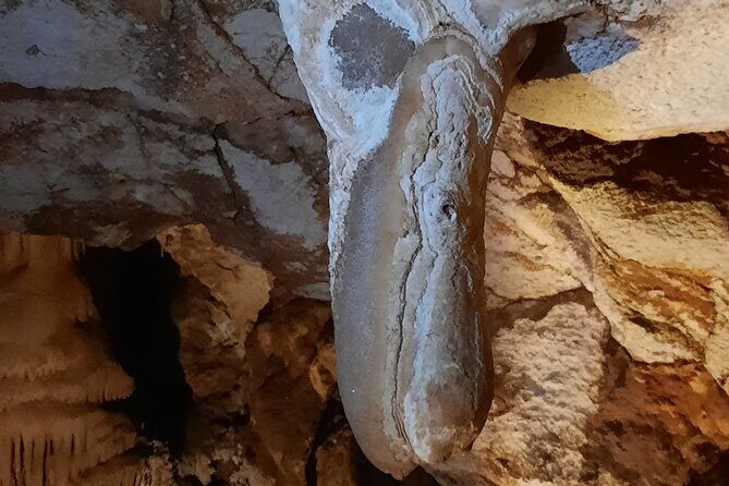 Day tour to the Natural wonders Belogradchik Rocks & Venetsa cave - FAQs