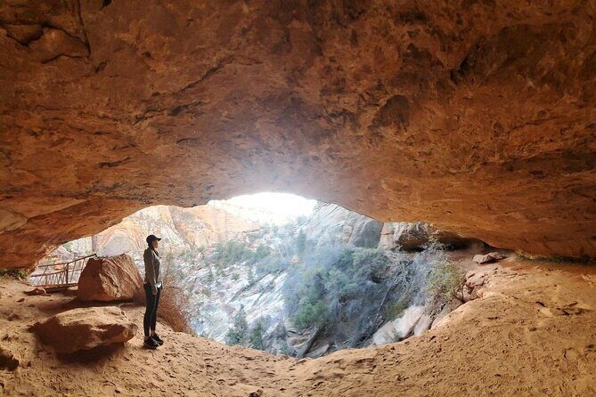 Day Tour to Zion Canyon, Horseshoe Bend and Antelope Canyon From Las Vegas - Who Would Love This Tour?