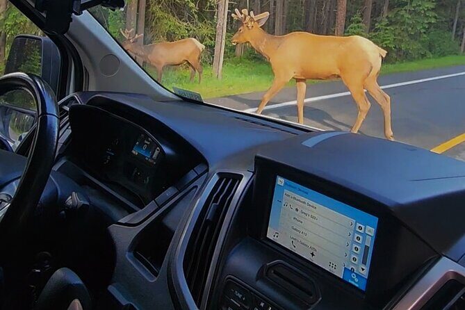 Day Tours in Banff National Park - Who Should Consider This Tour?