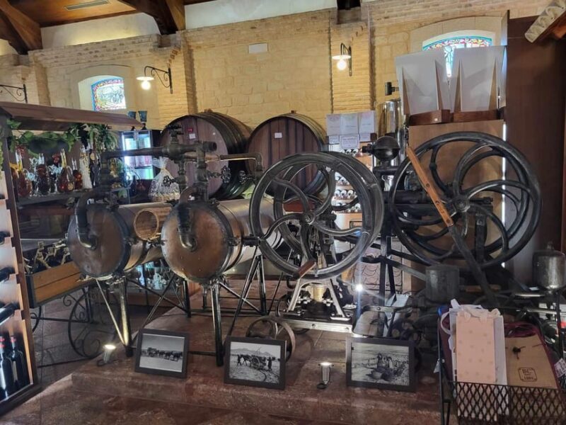 Day Trip and Discover the Heart of Alicantes Wine Country! - Key Points