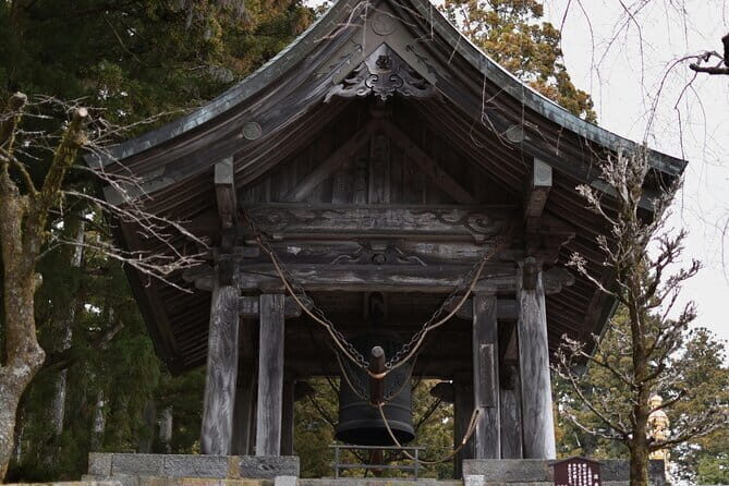 Day Trip Ashikaga Flower Park by Private Car from Tokyo - Final Thoughts