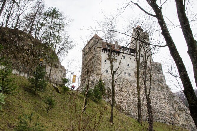 Day Trip Bear Sanctuary, Bran Castle, Rasnov Fortress from Brasov - The Itinerary in Detail