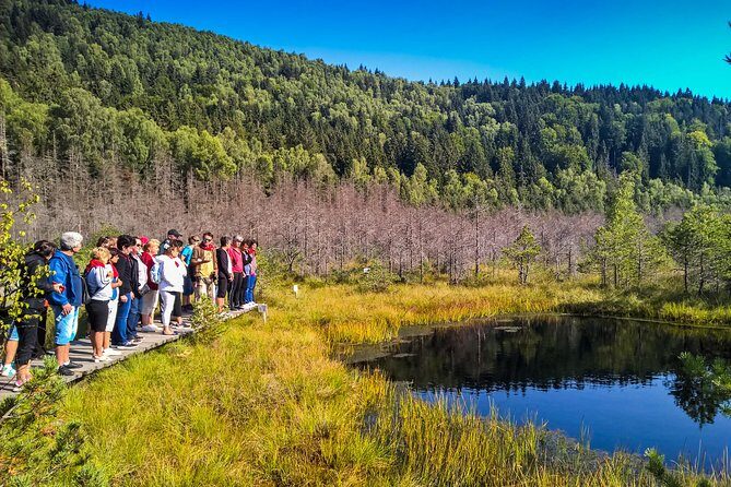 Day Trip & Bear Watching in the Land of Volcanoes - Practical Details That Matter
