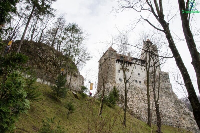 Day trip Bran Castle, Rasnov Fortress and Bear Sanctuary - A Deep Dive into the Day Trip Experience