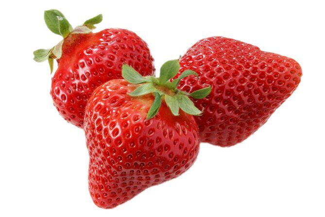 Day Trip Bus Tour to Fruits Pick & Dazaifu, Itoshima from Fukuoka - Introduction: A Well-Rounded Fukuoka Day Trip