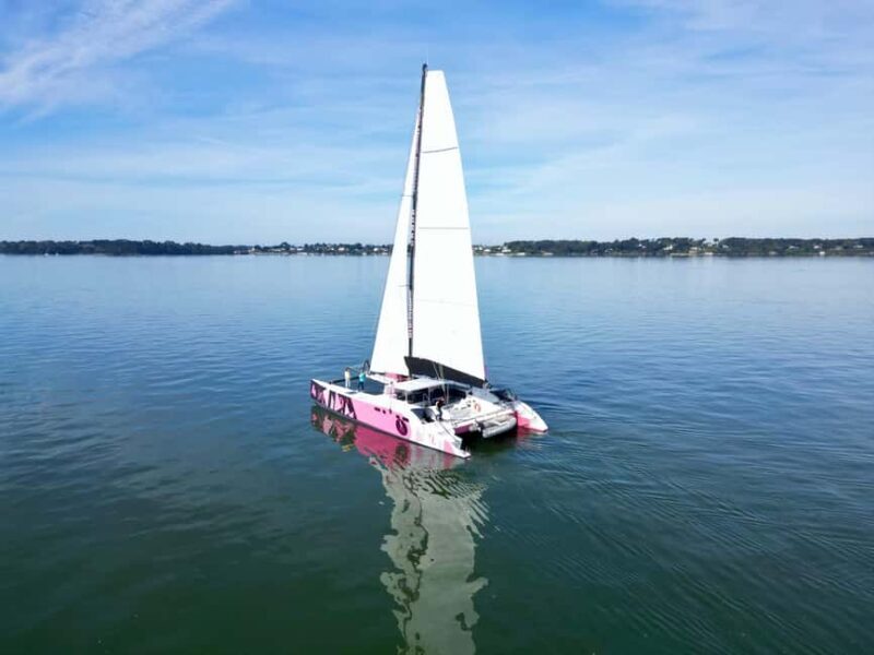 Day trip by catamaran to the island of Hoëdic from Port-Blanc - Why This Tour Offers Great Value