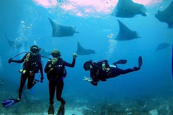 Day Trip Discover Scuba dive in Nusa Penida 2 dives (From Sanur - South Bali) - An In-Depth Review of the Nusa Penida Discover Scuba Tour