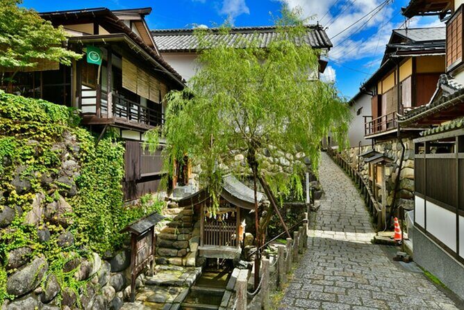 Day Trip for Shirakawago ,Takayama & gujo hachiman from Nagoya - Value and Practical Considerations