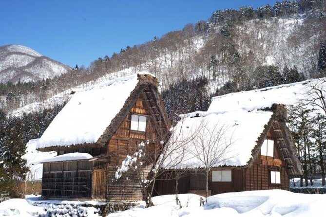 Day Trip for Shirakawago ,Takayama & gujo hachiman from Nagoya - Final Thoughts: Who Is This Tour Best For?
