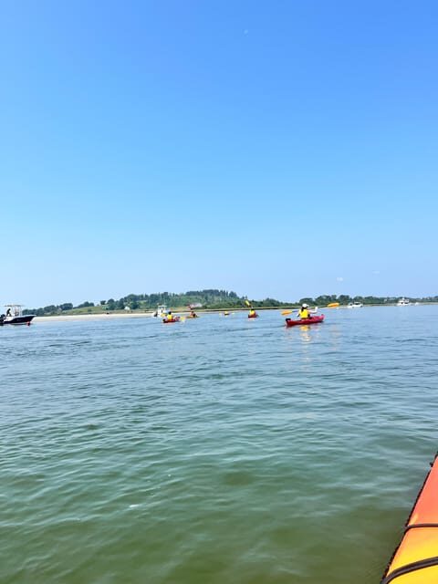 Day Trip from Boston: Guided Kayak at the Crane Estate - Detailed Review of the Crane Estate Kayak Day Trip